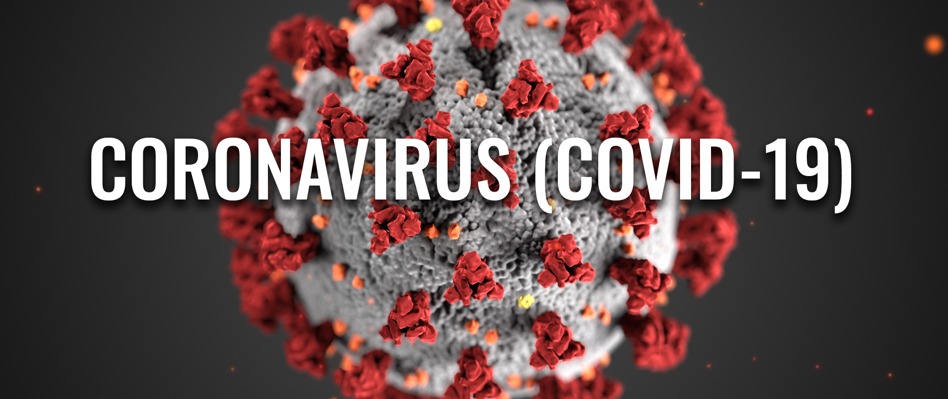 Coronavirus (COVID-19) Business Development Tips